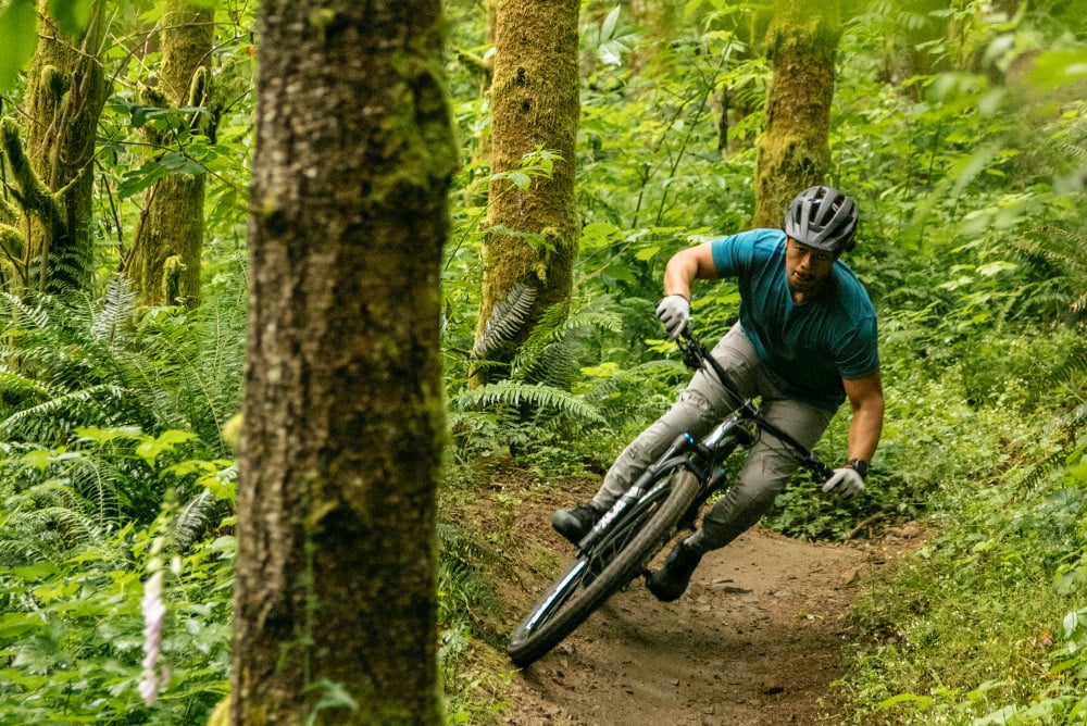 Mountain bike services near me hot sale